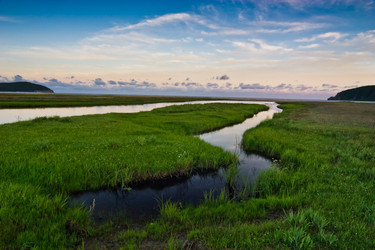 Similar image 468649