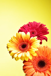 Similar image 468655