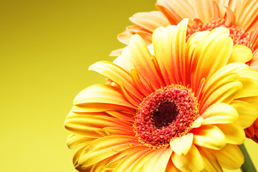 Similar image 468659