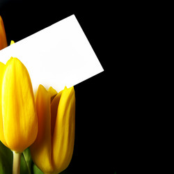 Similar image 468670