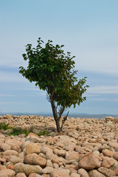 Similar image 468681