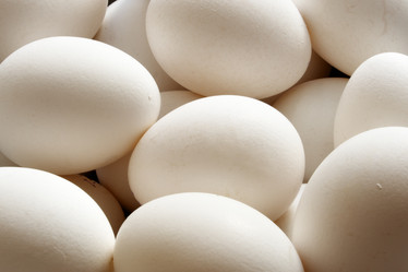 Similar image 468702