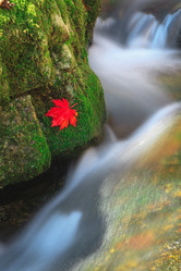 Similar image 468703