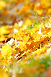 Similar image 468755