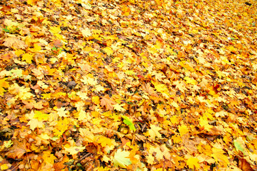 Similar image 468757