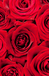 Similar image 468792