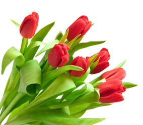 Similar image 468821