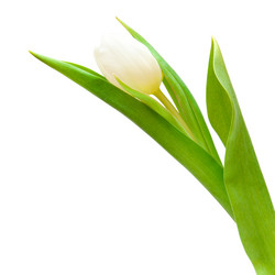 Similar image 468863