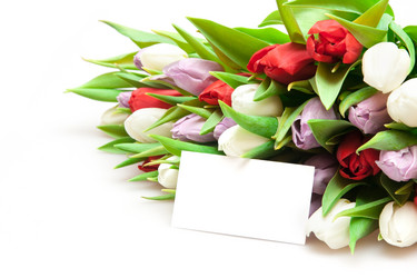 Similar image 468868