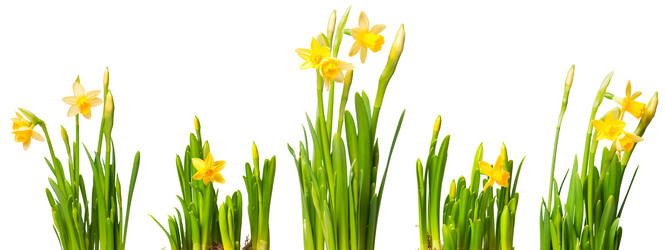 Similar image 468871