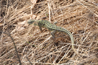 Similar image 468881