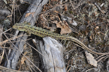 Similar image 468898