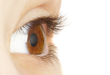 Similar image 468900