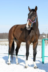 Similar image 468911