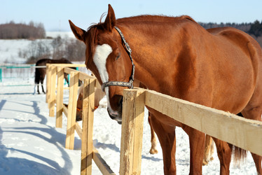 Similar image 468920