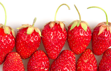 Similar image 468929