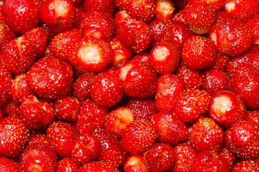 Similar image 468939