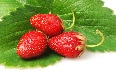 Similar image 468948