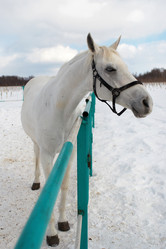 Similar image 468960