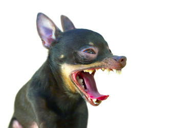 Similar image 468986