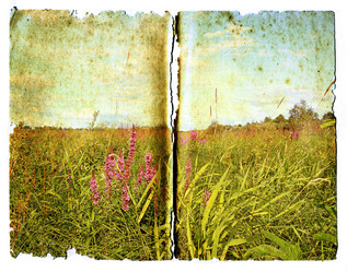 Similar image 469004