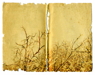 Similar image 469082