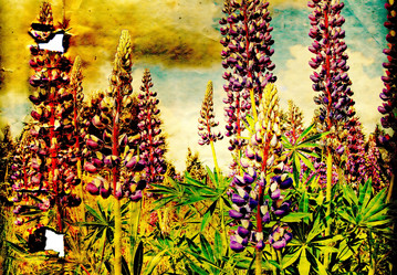 Similar image 469089