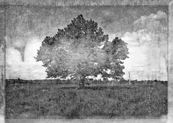 Similar image 469151