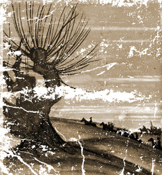 Similar image 469168