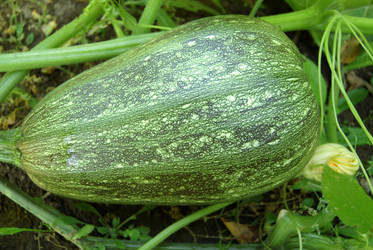 Similar image 469207