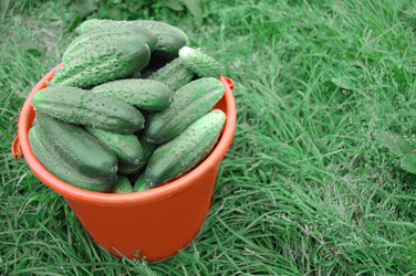 Similar image 469216