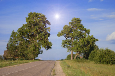 Similar image 469228