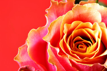 Similar image 469234