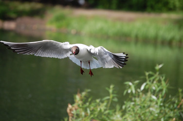 Similar image 469244