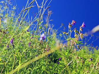 Similar image 469245