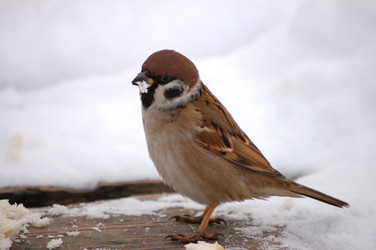 Similar image 469249