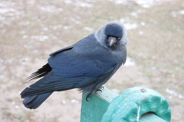 Similar image 469252