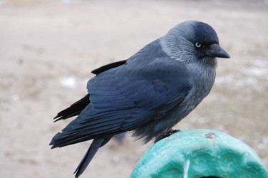 Similar image 469253