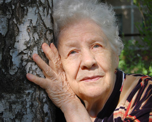 Similar image 469268