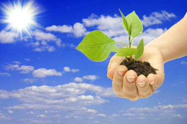 Similar image 469284