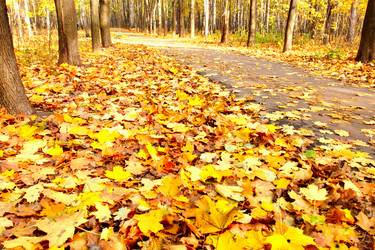 Similar image 469338