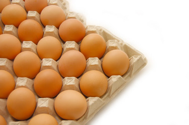 Similar image 469391