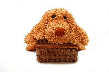 Similar image 469480