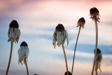 Similar image 469513