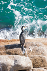 Similar image 469618