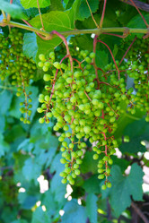 Similar image 469721