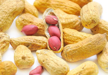 Similar image 469739