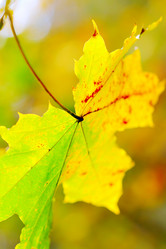 Similar image 469928