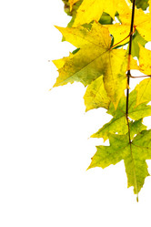 Similar image 469929