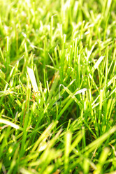 Similar image 469980